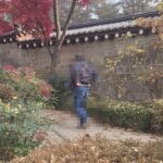 レス16番の画像3