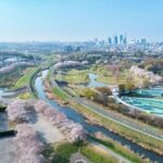 レス33番の画像12