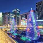 レス31番の画像6