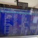 レス29番の画像1