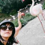 レス1番の画像4