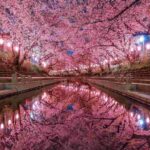 レス31番の画像4