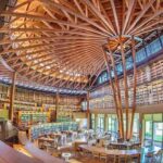 レス8番の画像2