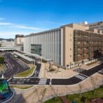 レス5番の画像1