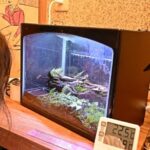 レス1番の画像3