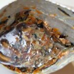 レス8番の画像1