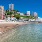 レス44番の画像1