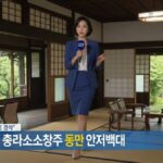 レス14番の画像1