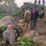 レス1番の画像4