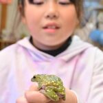 レス1番の画像1