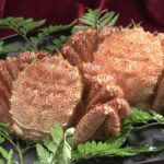 レス1番のリンク先のサムネイル画像