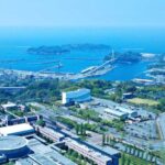 レス43番の画像1