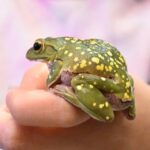 レス1番の画像2