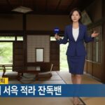 レス16番の画像1