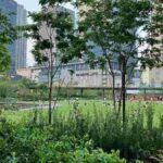 レス32番の画像3