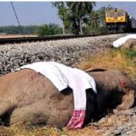 レス1番の画像3