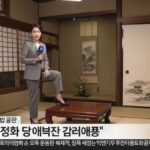 レス38番の画像1