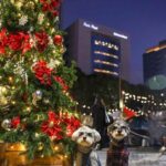 レス1番の画像4