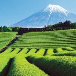 レス3番の画像1