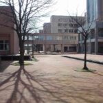 レス37番の画像1