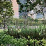 レス32番の画像4