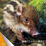 レス6番の画像2