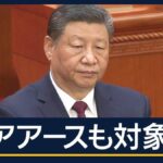 レス1番のリンク先のサムネイル画像