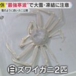 レス3番の画像1