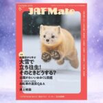 レス2番の画像1