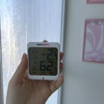 レス22番の画像1