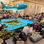 レス7番のリンク先のサムネイル画像