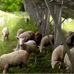 レス1番の画像6