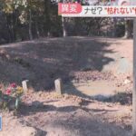 レス1番の画像2