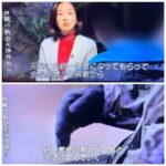 レス3番の画像2