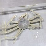 レス3番の画像2