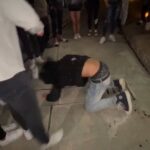 レス3番の画像1