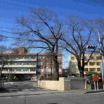 レス44番の画像1