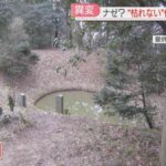 レス1番の画像1