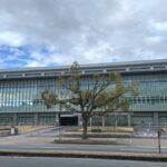 レス1番のリンク先のサムネイル画像