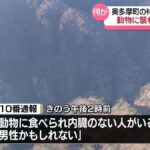 レス1番のリンク先のサムネイル画像