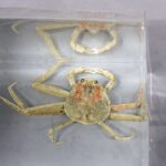 レス3番の画像3