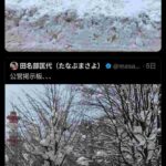 レス2番の画像1