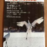 レス6番の画像3