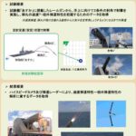 レス1番の画像4