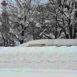 レス3番の画像1