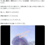 レス1番の画像2