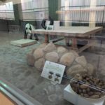 レス1番のリンク先のサムネイル画像