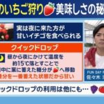 レス1番の画像5