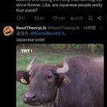 レス1番の画像3