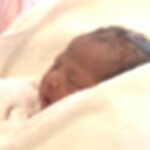 レス1番のリンク先のサムネイル画像